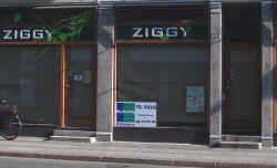 Ziggy Green
